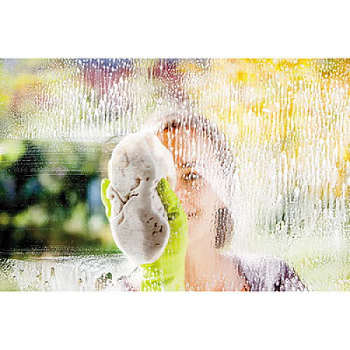 Formula 409 35293CT Glass & Surface Cleaner