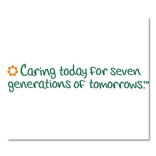 Seventh Generation Professional 44734EA Powder Laundry Detergent