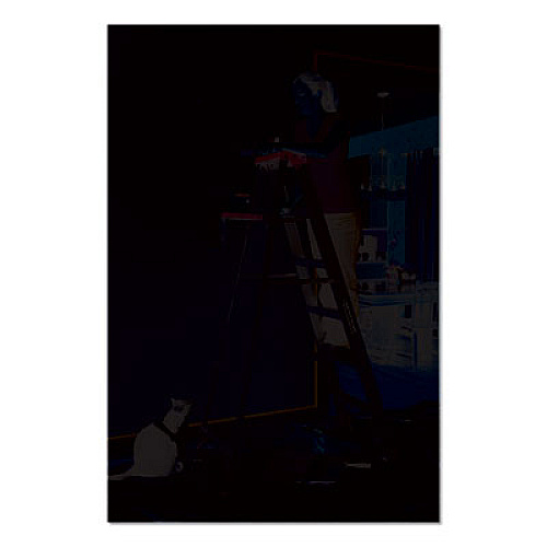 Louisville Aluminum Step Ladder, 6 ft Working Height, 225 lbs Capacity, 5 Step, Aluminum/Green (AS4006)
