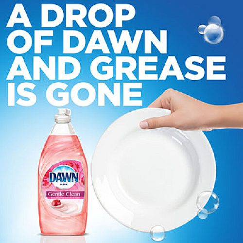 Dawn Ultra Gentle Clean, Pomegranate Splash, 24 oz Bottle, 10/Carton (74093)