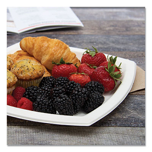 Dart Bare Eco-Forward Sugarcane Dinnerware, Plate, 10" dia, Ivory, 125/Pack (10PSC2050PK)