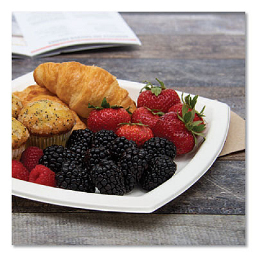 Dart Bare Eco-Forward Sugarcane Dinnerware, Plate, 10" dia, Ivory, 125/Pack, 4 Packs/Carton (10PSC2050CT)