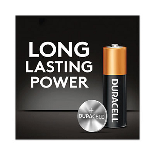 Duracell CopperTop Alkaline AA Batteries, 24/Box (MN1500B24)