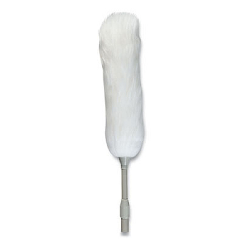 Coastwide Professional Extendable Lambswool Duster, 45" Extension Handle (24418467)