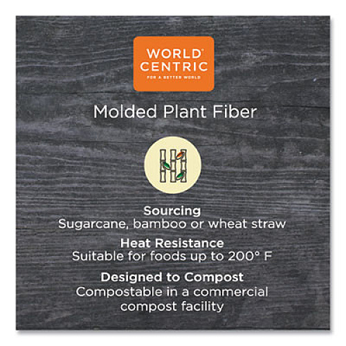 World Centric Fiber Bento Box Containers, 5-Compartment, 11.8 x 9.4 x 2, Natural, 300/Carton (TRSCBB)
