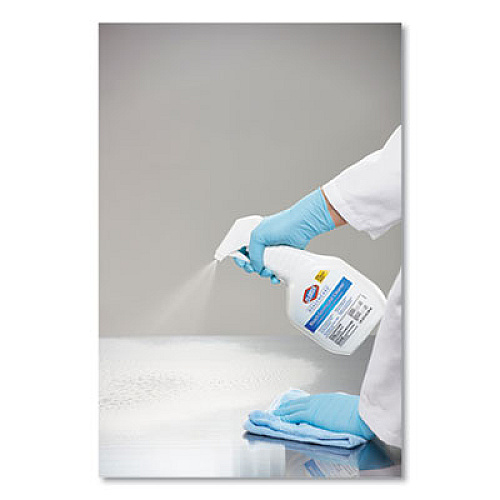 Clorox Healthcare Bleach Germicidal Cleaner, 22 oz Spray Bottle (68967)
