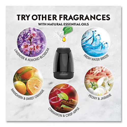Air Wick ESSENTIAL MIST STARTER KIT, FRESH WATER BREEZE, 0.67 OZ (24382696)