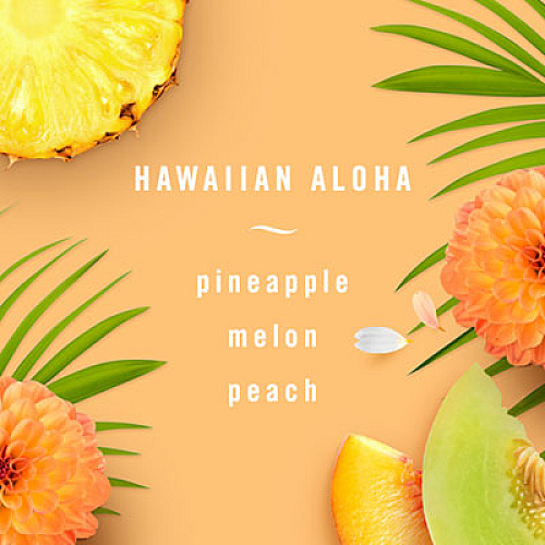 Febreze AIR, Hawaiian Aloha, 8.8 oz Aerosol Spray, 2/Pack (97794PK)