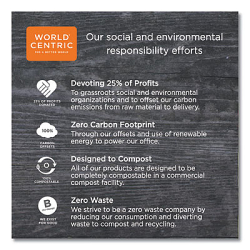 World Centric 100% PCW Recycled Paper Towels, 1-Ply, 9 x 9, Natural, 250/Pack, 16 Packs/Carton (TWPAMF)