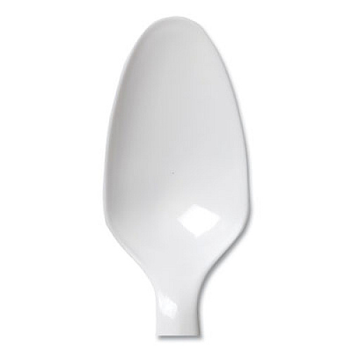 Dixie Mediumweight Polypropylene Cutlery, Teaspoon, White, 1,000/Carton (PTM21S)