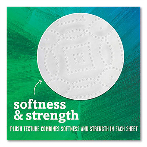 Seventh Generation 100% Recycled Paper Kitchen Towel Rolls, 2-Ply, 11 x 5.4, 140 Sheets/Roll, 2 Rolls/Pack, 12 Packs/Carton (13730)