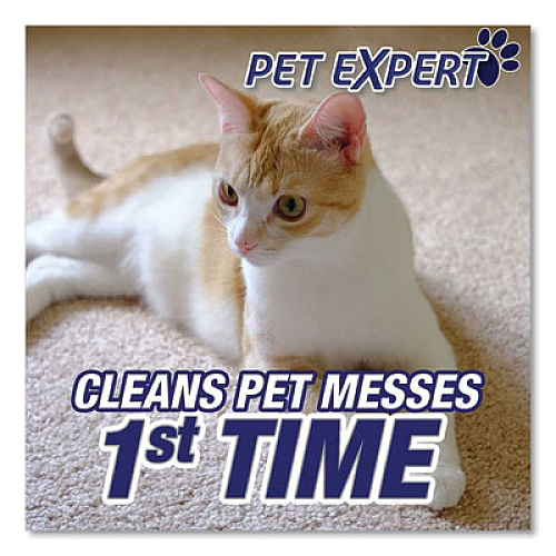RESOLVE Pet High Traffic Foam Carpet and Upholstery Cleaner, 22 oz Aerosol Spray, 12/Carton (83262CT)