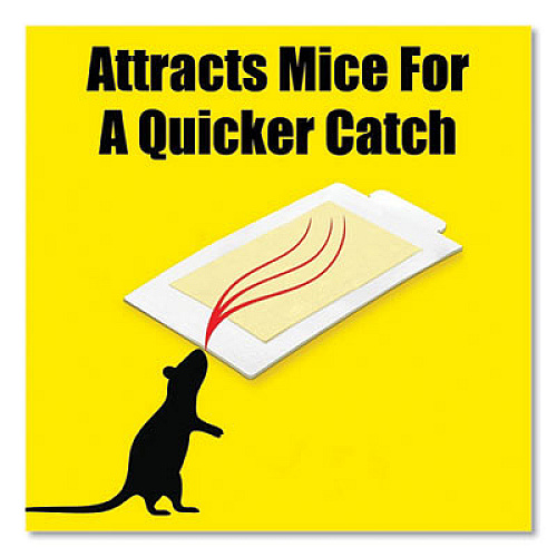 d-CON Mouse Glue Trap, Plastic, 4 Traps/Box, 12 Boxes/Carton (78642)