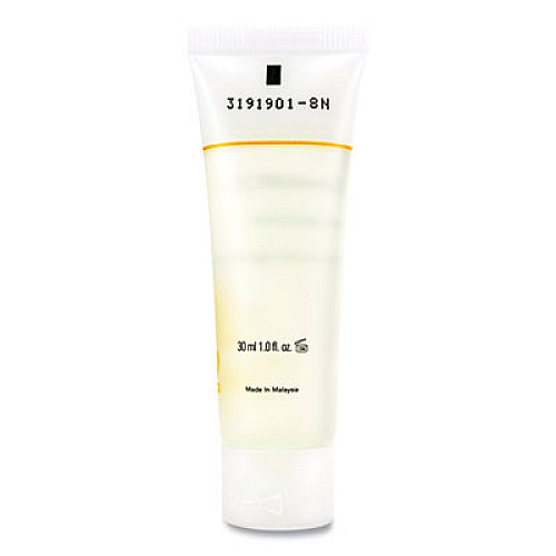 Eco By Green Culture Shampoo, Clean Scent, 30 mL, 288/Carton (SHEGCT)