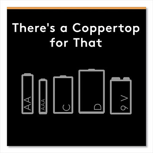 Duracell CopperTop Alkaline AAA Batteries, 12/Pack (MN24RT12Z)
