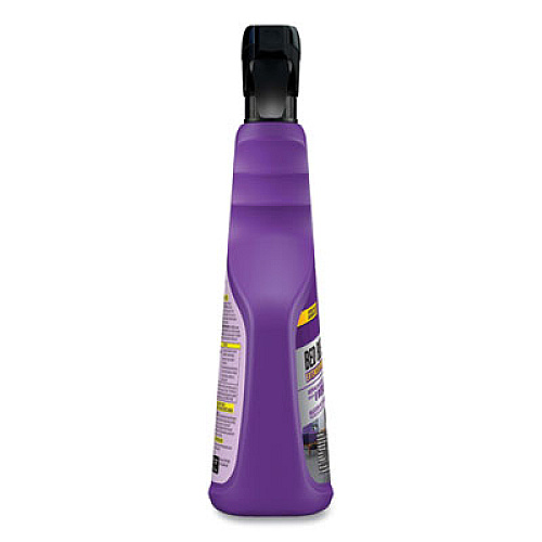 Raid Bed Bug and Flea Killer, 22 oz Bottle (305735EA)