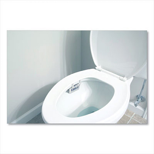 Big D Industries Non-Para Toilet Bowl Block, Lasts 30 Days, Evergreen Scent, White, 12/Box (661)