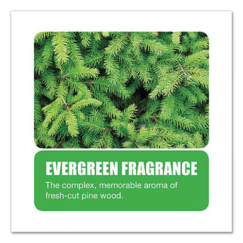 Big D Industries Extra Duty Urinal Screen with Non-Para Block, Evergreen with Enzymes Scent, White, Dozen (660)