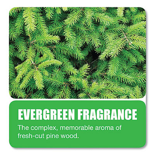 Big D Industries Extra Duty Urinal Screen with Non-Para Block, Evergreen Scent, White, Dozen (659)