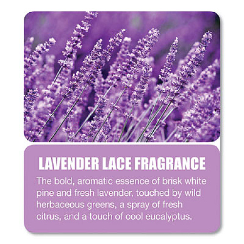 Big D Industries Diamond 3D Urinal Screen, Lavender Lace Scent, 0.13 oz, Lavender, 10/Box (629)