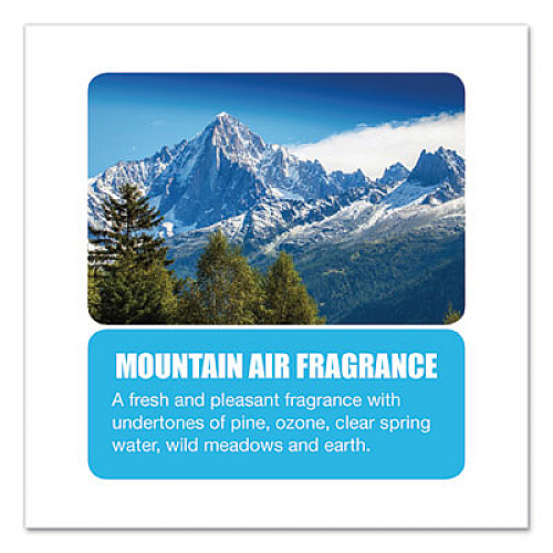 Big D Industries Metered Concentrated Room Deodorant, Mountain Air Scent, 7 oz Aerosol Spray, 12/Carton (463)
