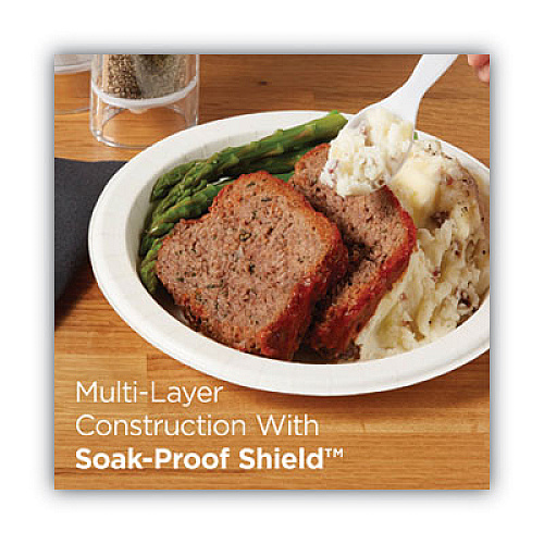 Dixie Pathways Soak-Proof Shield Medium Wt Paper Plates, 8 1/2", Dispenser Box, 600/ct (UX9PATHPBCT)
