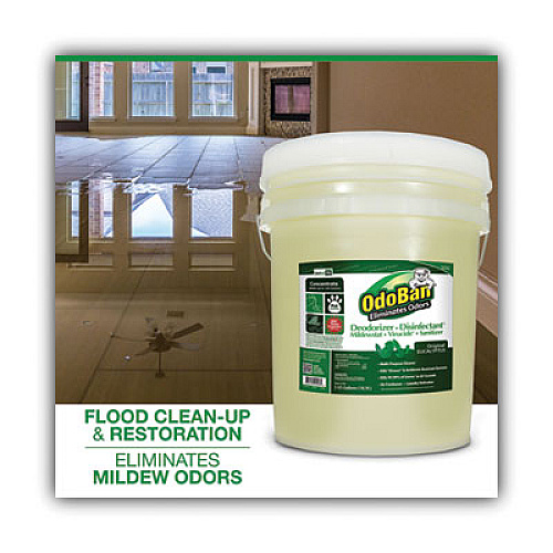 OdoBan Concentrated Odor Eliminator and Disinfectant, Eucalyptus, 5 gal Pail (9110625G)