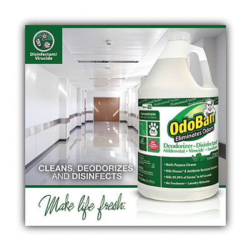 OdoBan Concentrated Odor Eliminator and Disinfectant, Eucalyptus, 1 gal Bottle (911062G4EA)