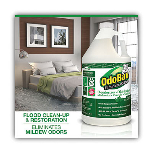 OdoBan Concentrated Odor Eliminator, Eucalyptus, 1 gal Bottle, 4/Carton (911062G4)