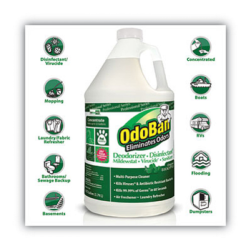 OdoBan Concentrated Odor Eliminator, Eucalyptus, 1 gal Bottle, 4/Carton (911062G4)
