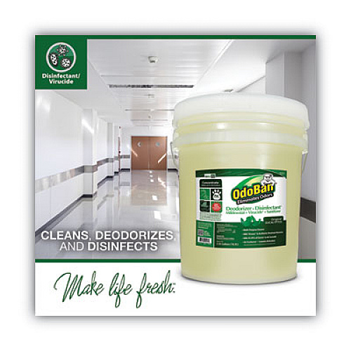 OdoBan Concentrated Odor Eliminator and Disinfectant, Eucalyptus, 5 gal Pail (9110625G)
