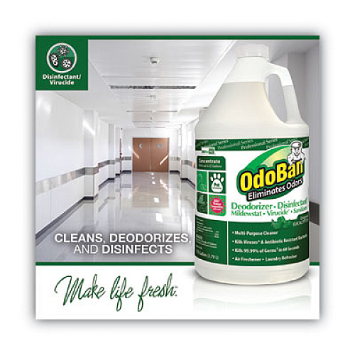 OdoBan Concentrated Odor Eliminator, Eucalyptus, 1 gal Bottle, 4/Carton (911062G4)