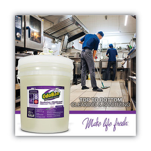 OdoBan Concentrated Odor Eliminator and Disinfectant, Lavender Scent, 5 gal Pail (9111625G)