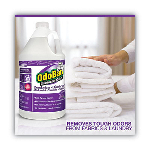 OdoBan Concentrate Odor Eliminator and Disinfectant, Lavender Scent, 1 gal Bottle, 4/Carton (911162G4)