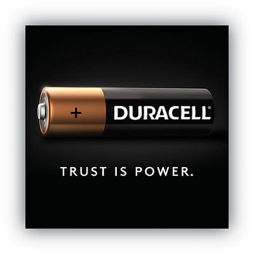 Duracell Rechargeable StayCharged NiMH Batteries, AA, 2/Pack (NLAA2BCD)