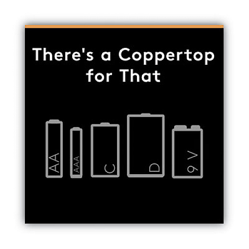 Duracell CopperTop Alkaline AAA Batteries, 24/Box (MN2400B24000)