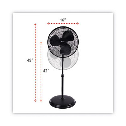 Alera 16" 3-Speed Oscillating Pedestal Stand Fan, Metal, Plastic, Black (FANP16B)