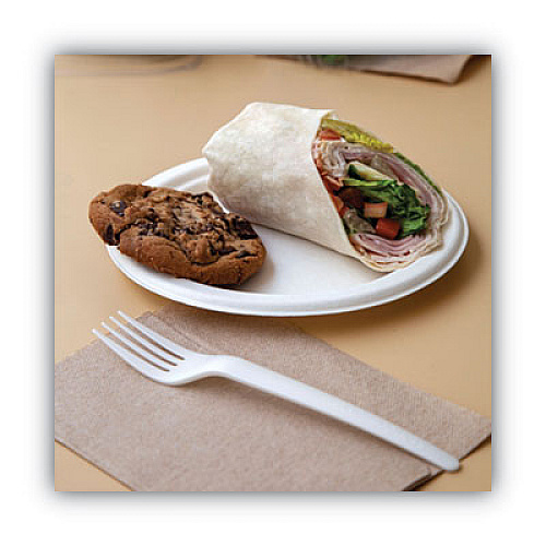Eco-Products Renewable and Compostable Sugarcane Plates, 9" dia, Natural White, 50/Packs (EPP013PK)