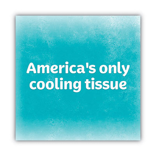 Kleenex COOL TOUCH FACIAL TISSUE, 2-PLY, WHITE, 45 SHEETS/BOX, 27 BOXES/CARTON (50140CT)