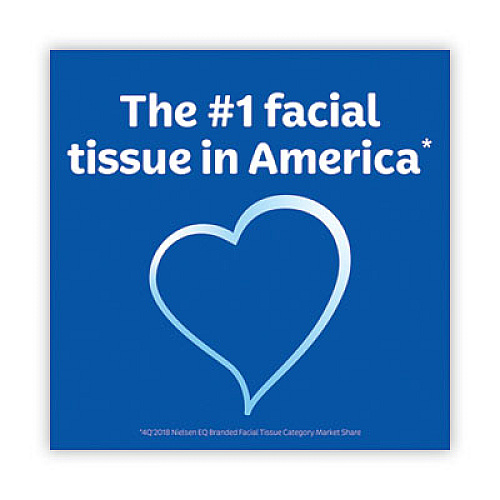 Kleenex TRUSTED CARE FACIAL TISSUE, 2-PLY, WHITE, 144 SHEETS/BOX, 3 BOXES/PACK, 12 PACKS/CARTON (50219CT)