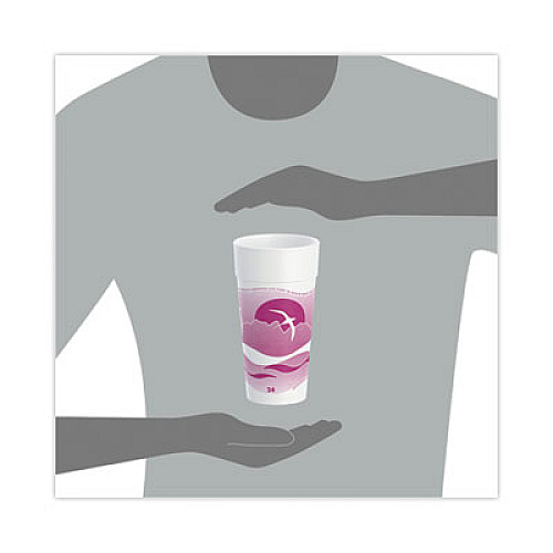 Dart Horizon Hot/Cold Foam Drinking Cups, 24 oz, Mauve, 20/Bag, 25 Bags/Carton (24J16H)