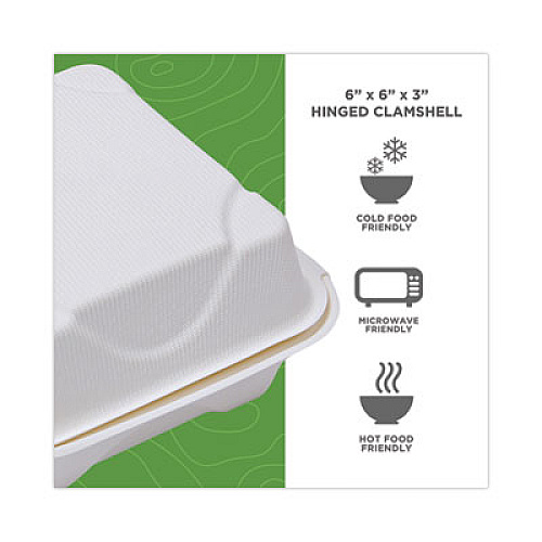 Eco-Products Molded Fiber Hinged Clamshell Containers, 6 x 6 x 3, White, Sugarcane, 50/Pack, 10 Packs/Carton (EPHC6)