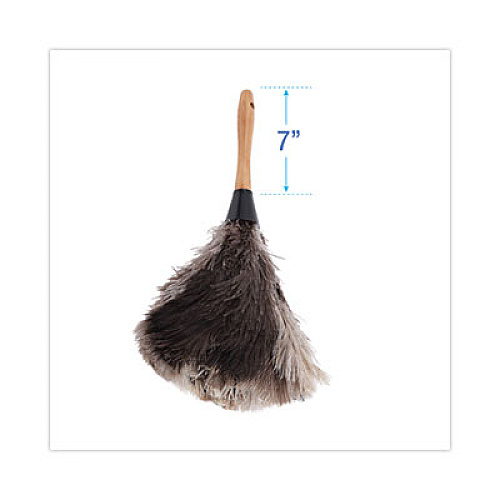 Boardwalk Professional Ostrich Feather Duster, 7" Wood Handle (13FD)