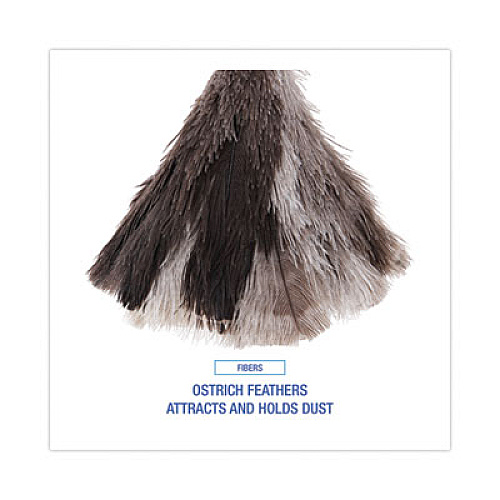 Boardwalk Professional Ostrich Feather Duster, 7" Wood Handle (13FD)