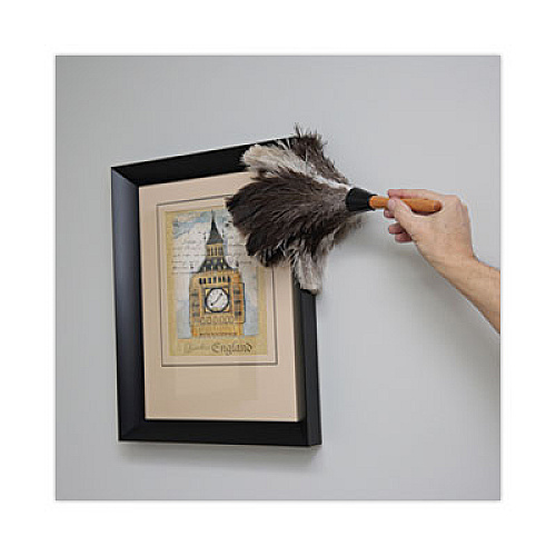 Boardwalk Professional Ostrich Feather Duster, 7" Wood Handle (13FD)
