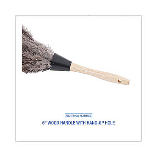Boardwalk Professional Ostrich Feather Duster, 6" Wood Handle (14FD)