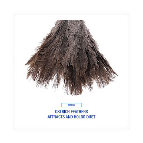 Boardwalk Professional Ostrich Feather Duster, 6" Wood Handle (14FD)