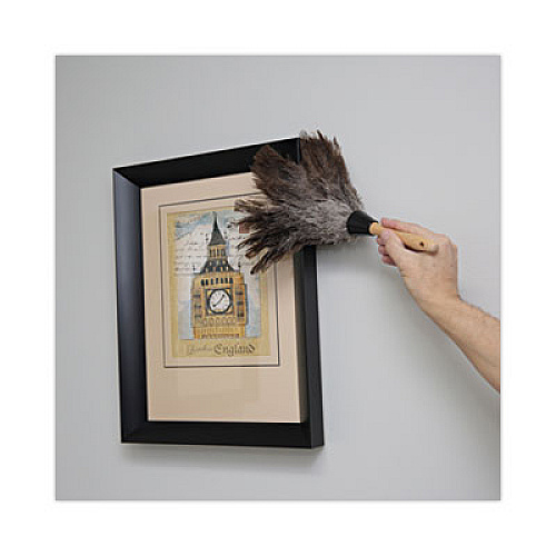 Boardwalk Professional Ostrich Feather Duster, 6" Wood Handle (14FD)