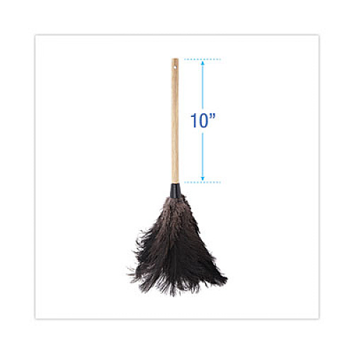 Boardwalk Professional Ostrich Feather Duster, 10" Wood Handle (20BK)
