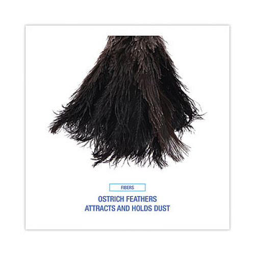 Boardwalk Professional Ostrich Feather Duster, 10" Wood Handle (20BK)